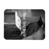 Falln fand eine Feder Magnet (Horizontal)
