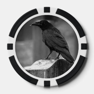 Falln fand eine Feder Pokerchips