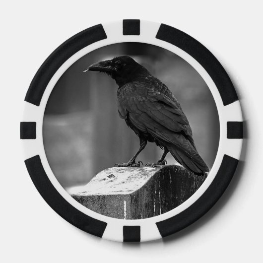 Falln fand eine Feder Pokerchips (Vorderseite)