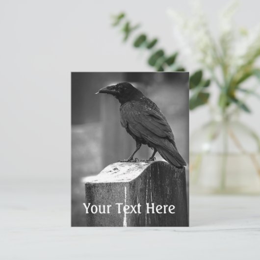 Falln fand eine Feder Postkarte (Stehend Vorderseite)