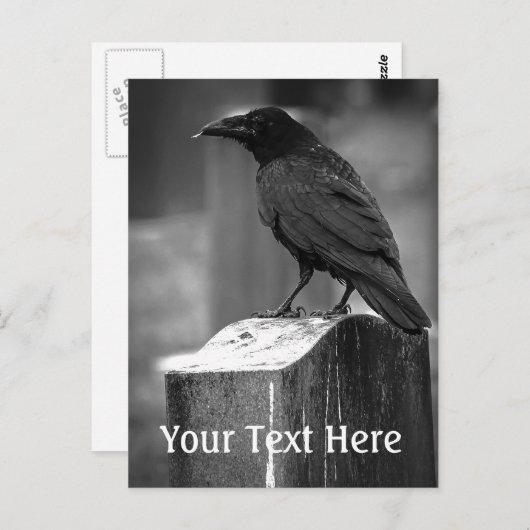 Falln fand eine Feder Postkarte (Vorne/Hinten)