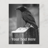 Falln fand eine Feder Postkarte (Vorderseite)