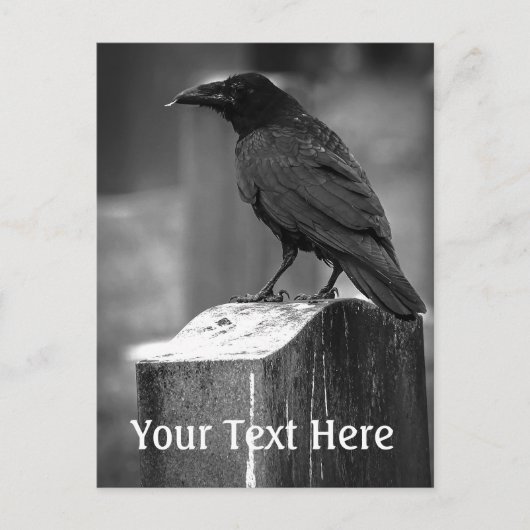 Falln fand eine Feder Postkarte (Vorderseite)