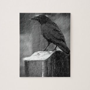 Falln fand eine Feder Puzzle