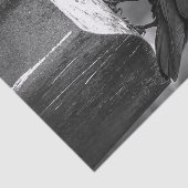 Falln fand eine Feder Seidenpapier (Ausschnitt)