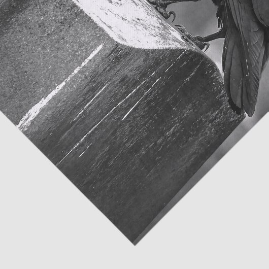 Falln fand eine Feder Seidenpapier (Ausschnitt)