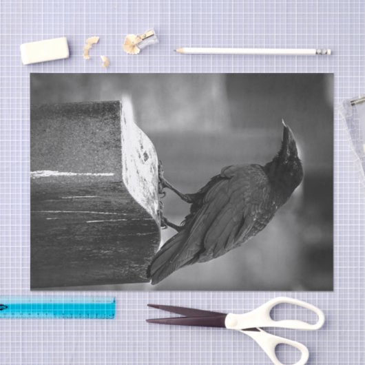 Falln fand eine Feder Seidenpapier (Handwerk)