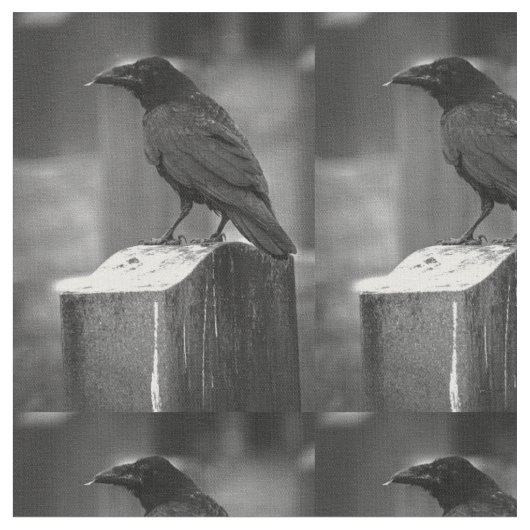 Falln fand eine Feder Stoff (Nahaufnahme)
