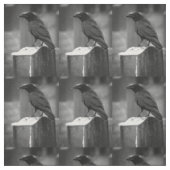 Falln fand eine Feder Stoff (Muster)