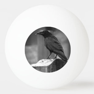 Falln fand eine Feder Tischtennisball