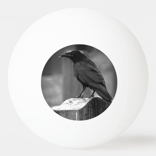 Falln fand eine Feder Tischtennisball (Vorderseite)