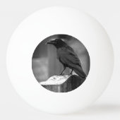 Falln fand eine Feder Tischtennisball (Rückseite)