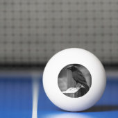 Falln fand eine Feder Tischtennisball (Netto)