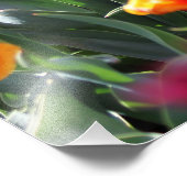 Falln Floral Crimson Waves Fotodruck (Ecke)