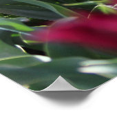 Falln Floral Crimson Waves Poster (Ecke)