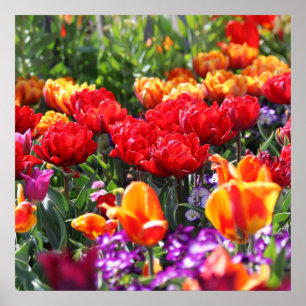 Falln Floral Crimson Waves Poster