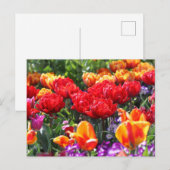Falln Floral Crimson Waves Postkarte (Vorne/Hinten)