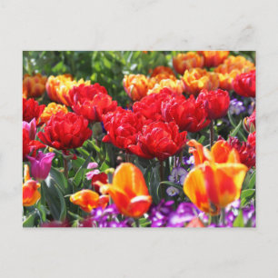 Falln Floral Crimson Waves Postkarte