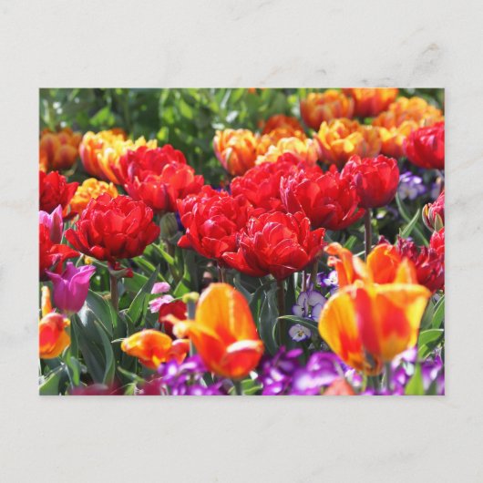 Falln Floral Crimson Waves Postkarte (Vorderseite)