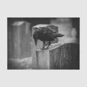 Falln Friedhofs-Krähe Seidenpapier