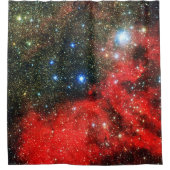 Falln Gold Dusted Galaxy Duschvorhang (Vorderseite)