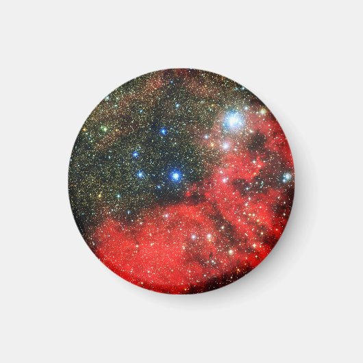 Falln Gold Dusted Galaxy Magnet (Vorne)