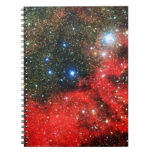 Falln Gold Dusted Galaxy Notizblock (Vorderseite)