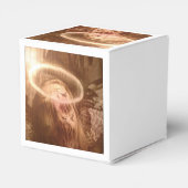 Falln Guardian Angel Geschenkschachtel (Rückseite)