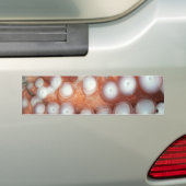 Falln herauf nahe Krake Autoaufkleber (Auf Auto)