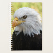 Falln Liberty Planer (Vorderseite)