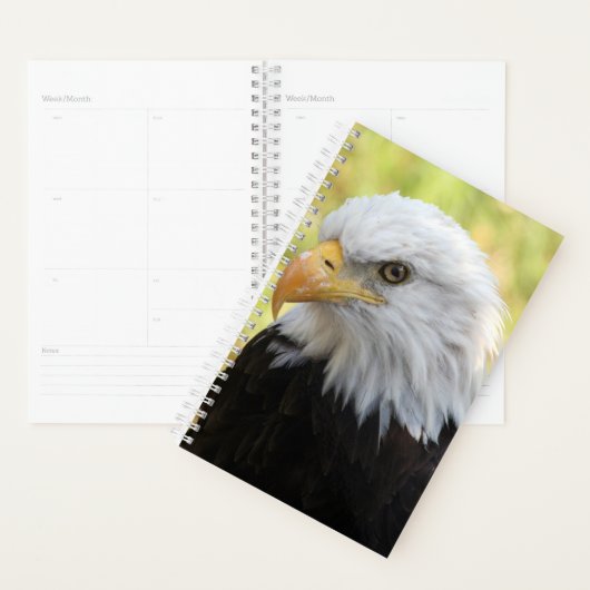 Falln Liberty Planer (Anzeige)