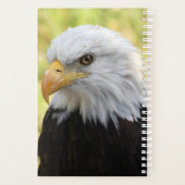 Falln Liberty Planer (Rückseite)