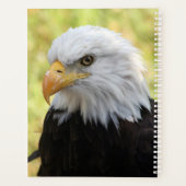 Falln Liberty Planer (Rückseite)