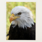 Falln Liberty Planer (Vorderseite)