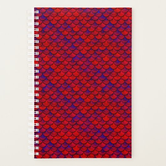 Falln Mermaid Scales Planer (Vorderseite)