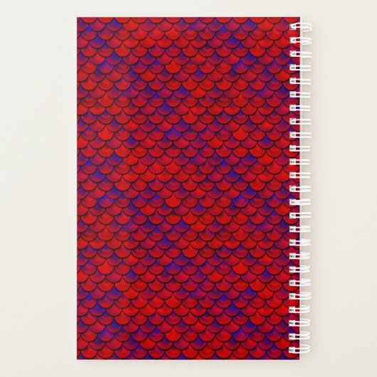 Falln Mermaid Scales Planer (Rückseite)