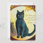 Falln Merry Halloween Cat (Rückseite)