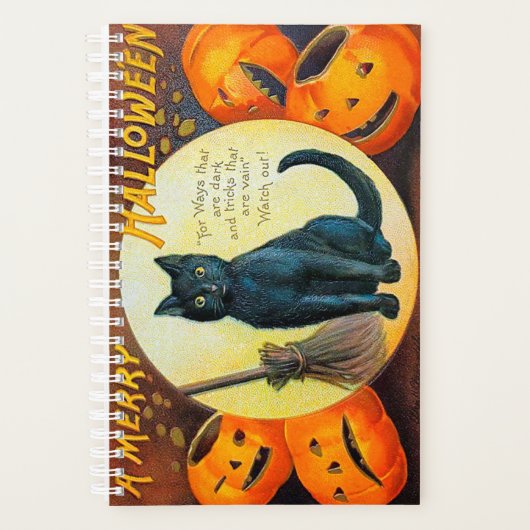 Falln Merry Halloween Cat Planer (Vorderseite)