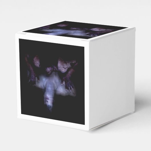 Falln Mirror Geschenkschachtel (Vorderseite)