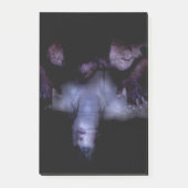 Falln Mirror Post-it Klebezettel (Vorderseite)