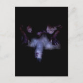 Falln Mirror Postkarte (Vorderseite)