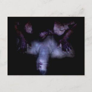 Falln Mirror Postkarte