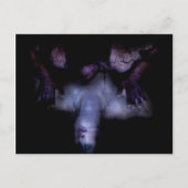 Falln Mirror Postkarte (Vorderseite)