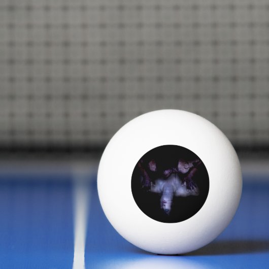 Falln Mirror Tischtennisball (Netto)