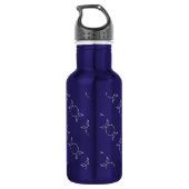 Falln Pagan Triple Godß Symbol Trinkflasche (Rückseite)