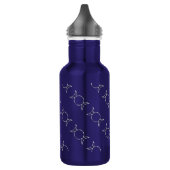 Falln Pagan Triple Godß Symbol Trinkflasche (Links)