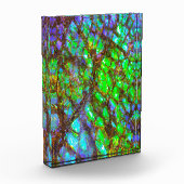 Falln Peacock Ammolite Fotoblock (Links)