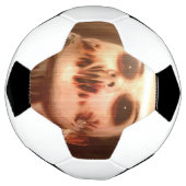Falln Persönlicher Erlöser Fußball (Gedreht)