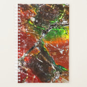Falln Piedras Arcoiris Planer (Vorderseite)