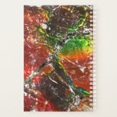 Falln Piedras Arcoiris Planer (Rückseite)